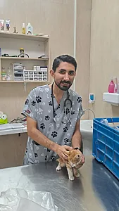 کلینیک دامپزشکی پیوت