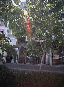 عینک سازی محسنی