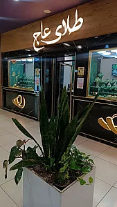 طلای عاج