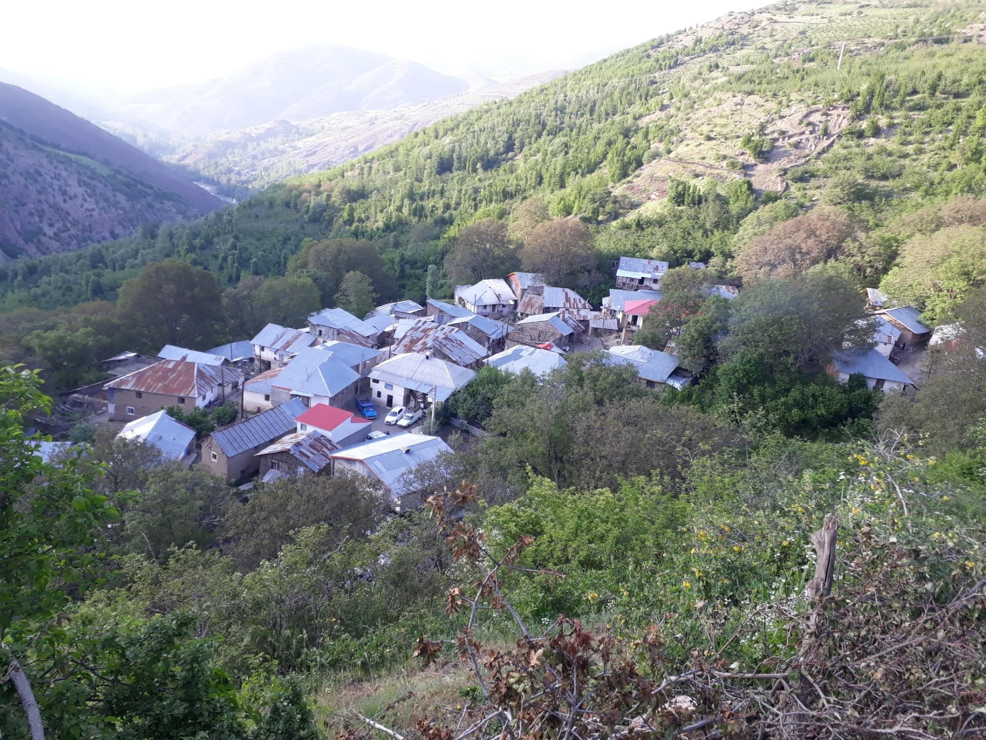 موادغذایی سروش - تصویر 2