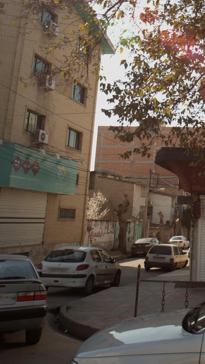 فرش فرهی - تصویر 4