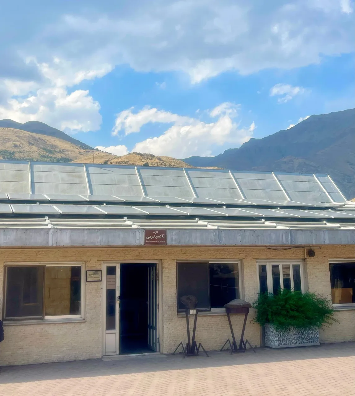 نمایشگاه تاکسیدرمی - تصویر 5
