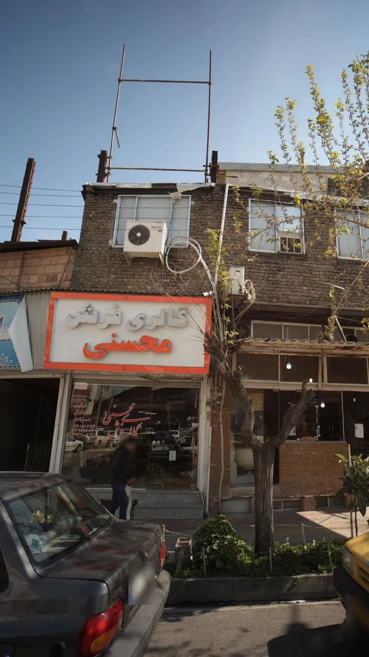 گالری فرش محسنی - تصویر 5