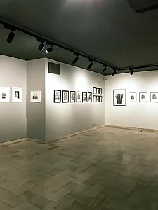 گالری ورد