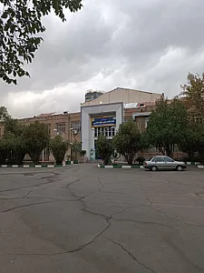 دانشکده علوم توانبخشی دانشگاه علوم پزشکی ایران، میرداماد شاه نظری