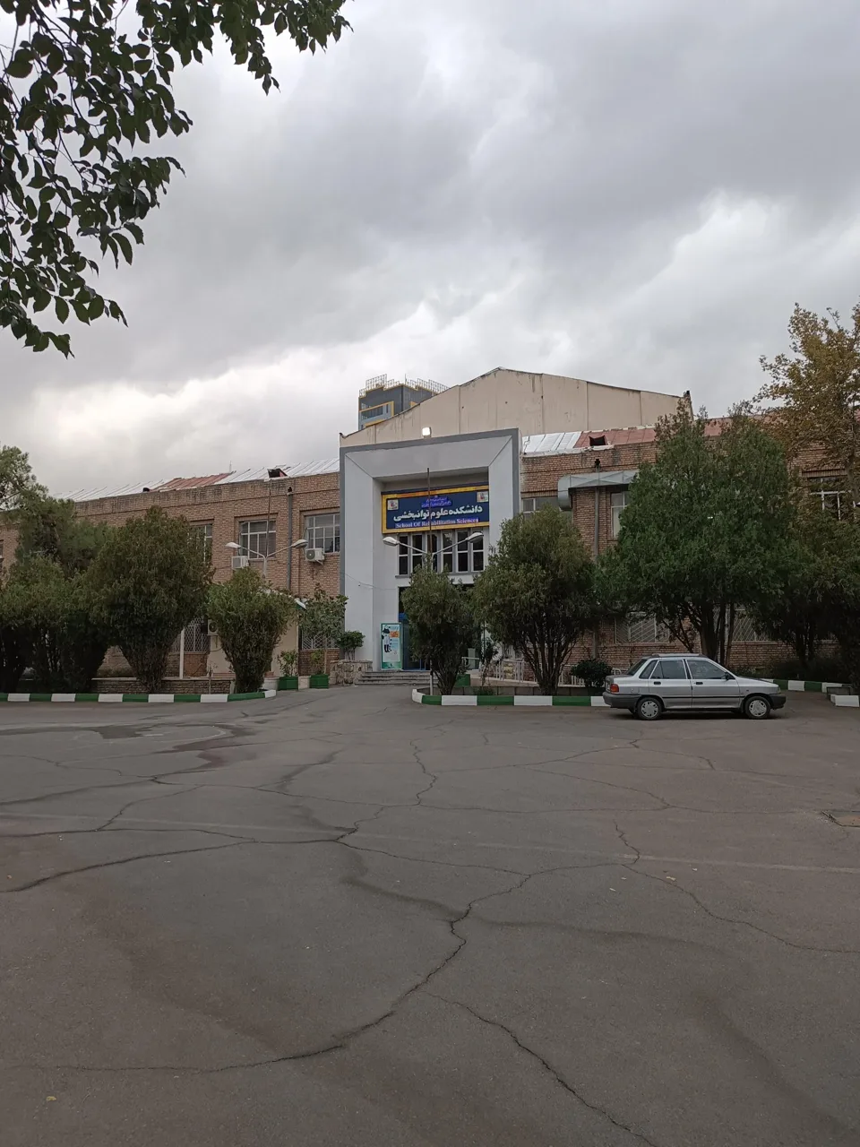 دانشکده علوم توانبخشی دانشگاه علوم پزشکی ایران، میرداماد شاه نظری