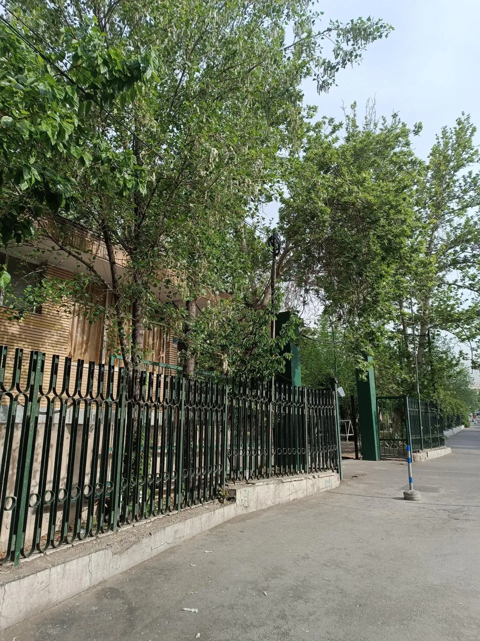 دانشکده فیزیک دانشگاه تهران - تصویر 5