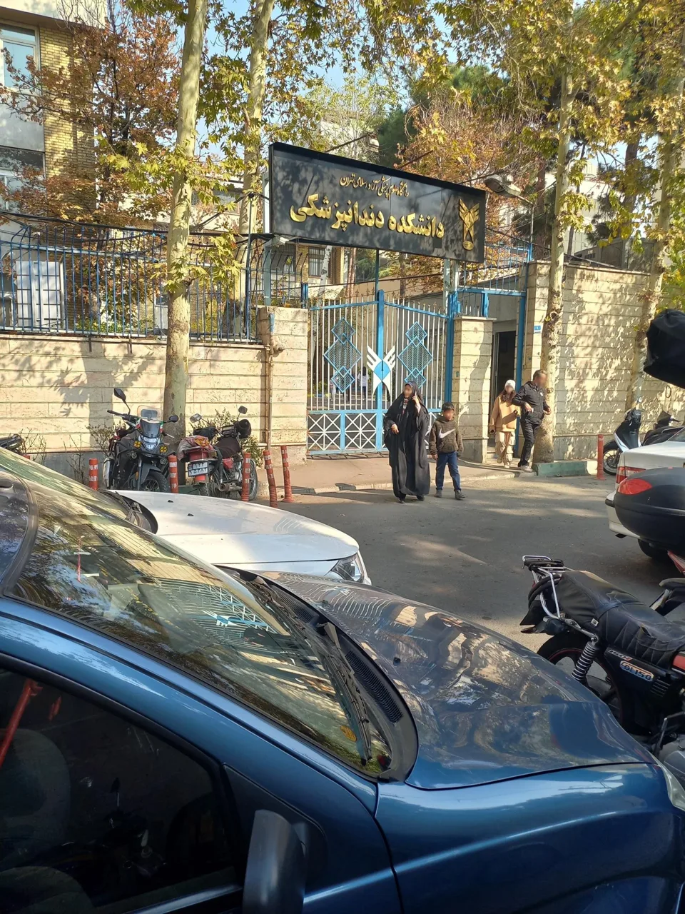 دانشکده دندانپزشکی دانشگاه آزاد اسلامی - تصویر 3
