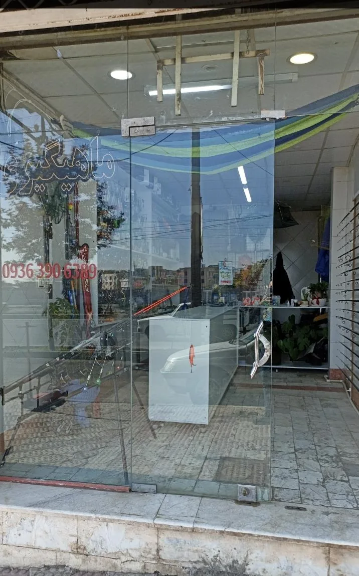 کمپ لند