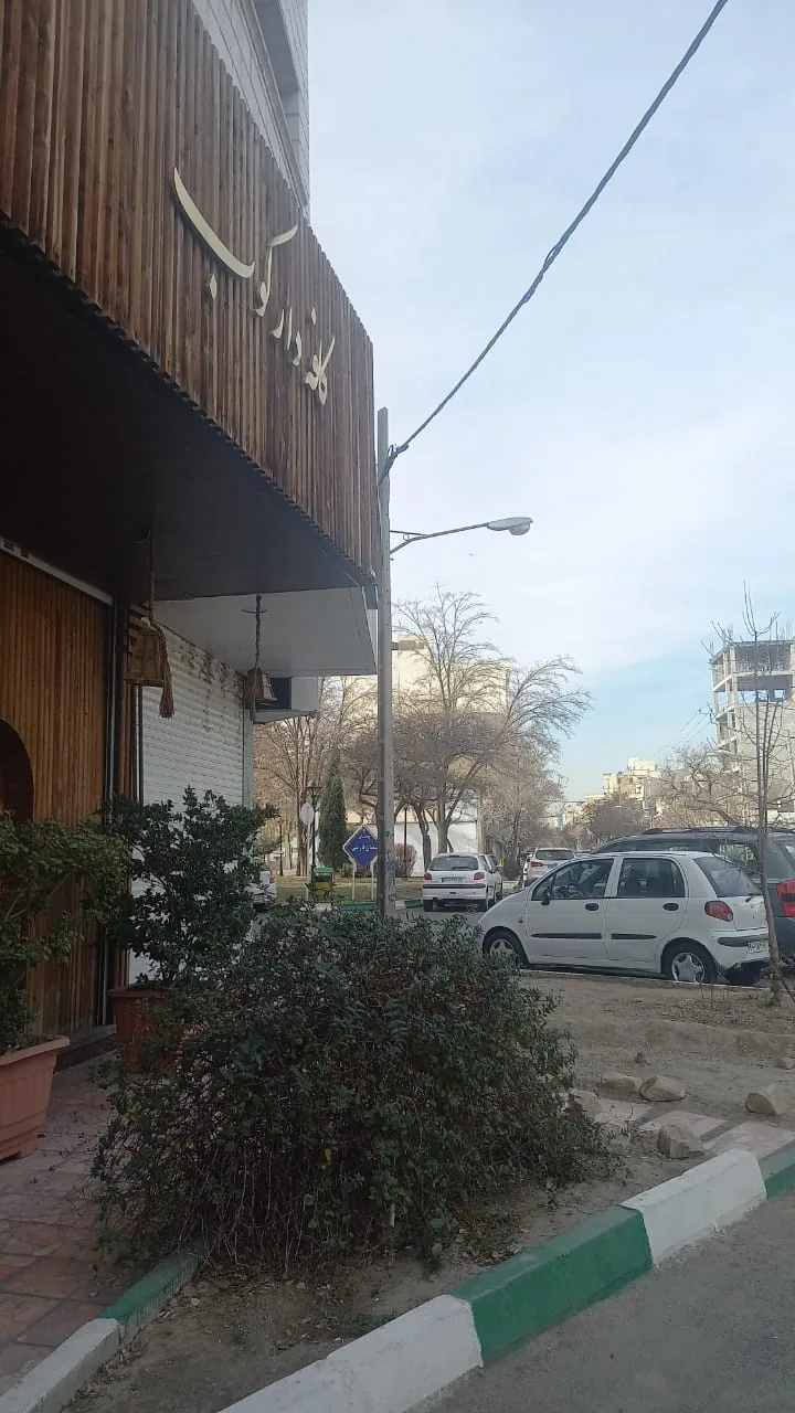 کافه دارکوب - تصویر 3