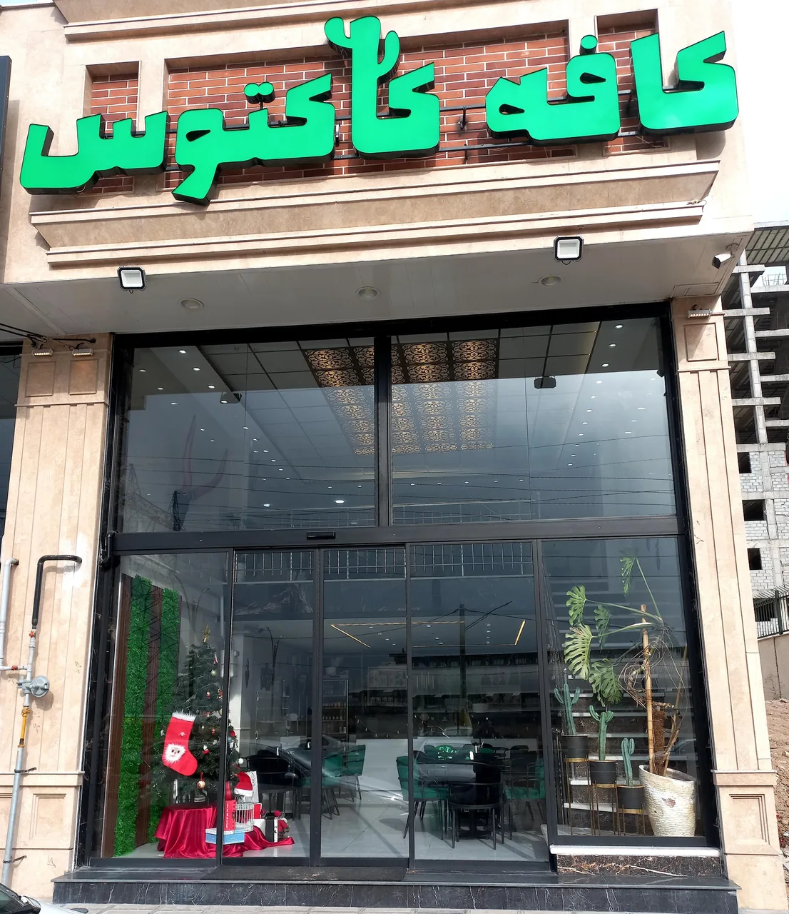 کافه کاکتوس