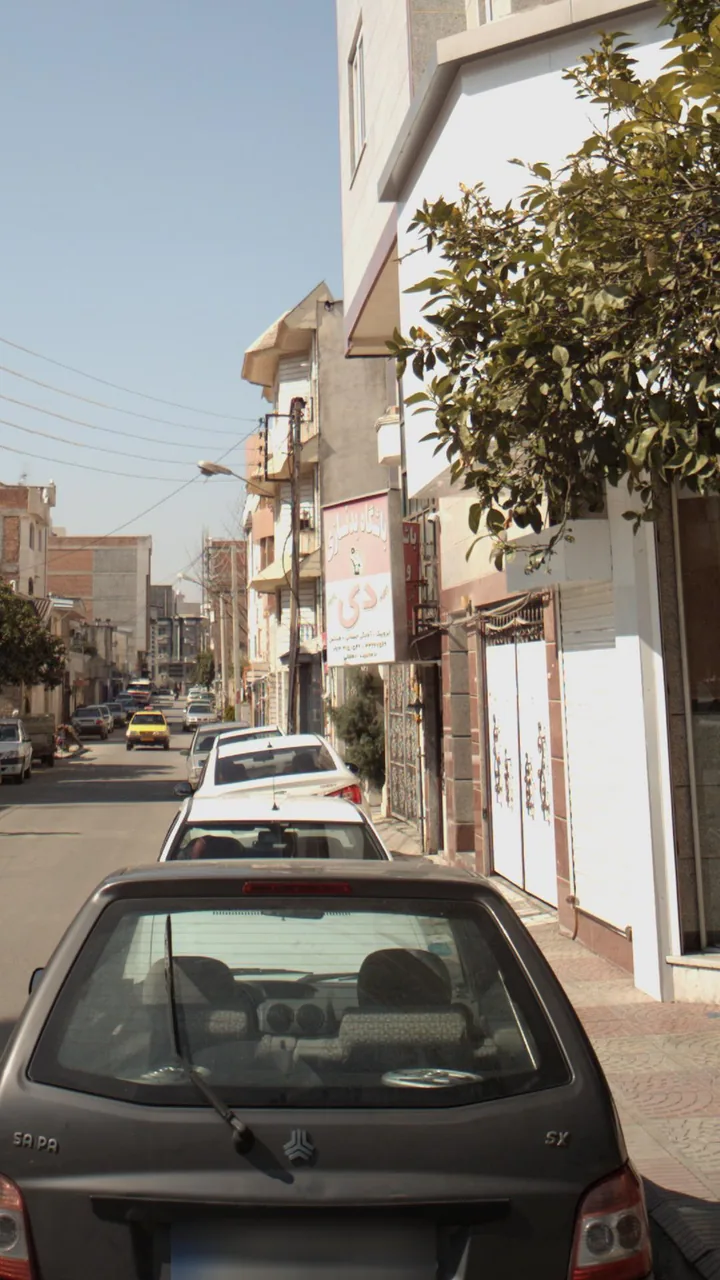 باشگاه بدنسازی دی - تصویر 2