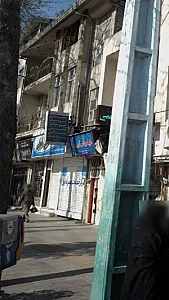 باشگاه نیلوفر آبی