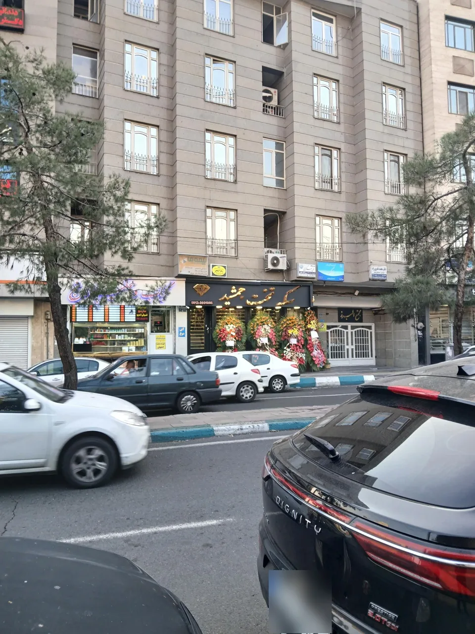 سکه تخت جمشید - تصویر 5
