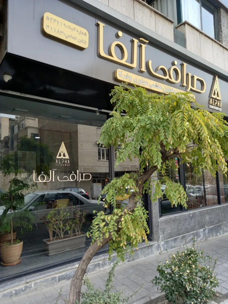 صرافی آلفا - تصویر 2