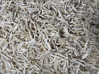 خشکبار روشن (سبزینه)