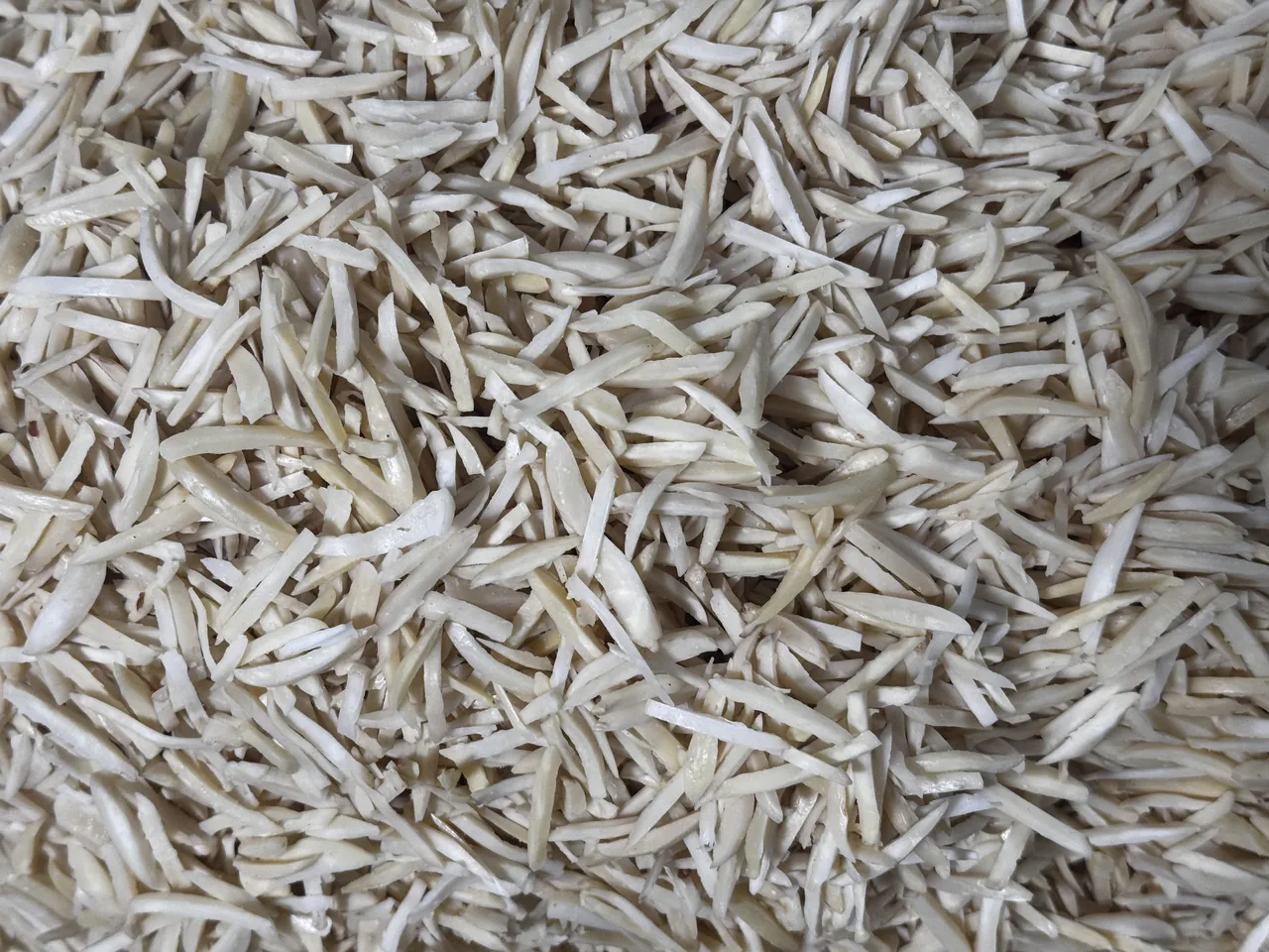 خشکبار روشن (سبزینه)
