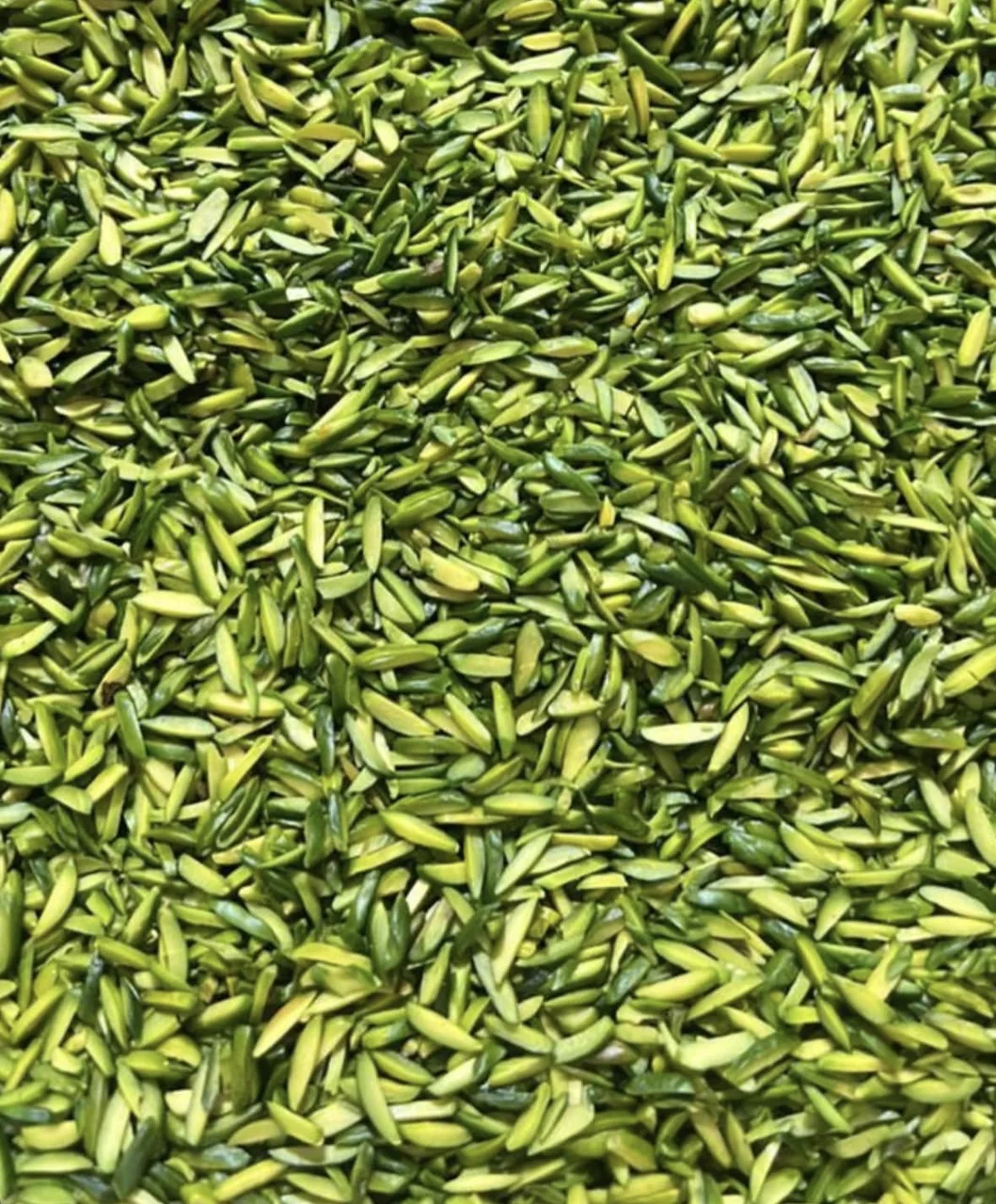 خشکبار روشن (سبزینه) - تصویر 5