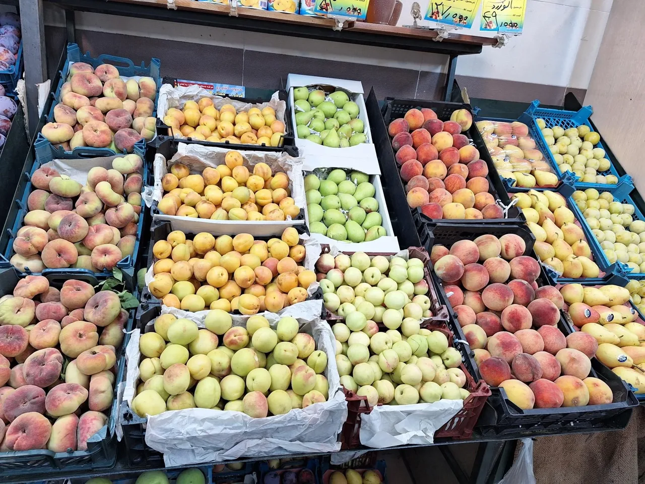 سوپر میوه آذربایجان - تصویر 4