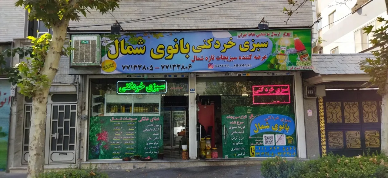 سبزی خردکنی بانوی شمال - تصویر 4