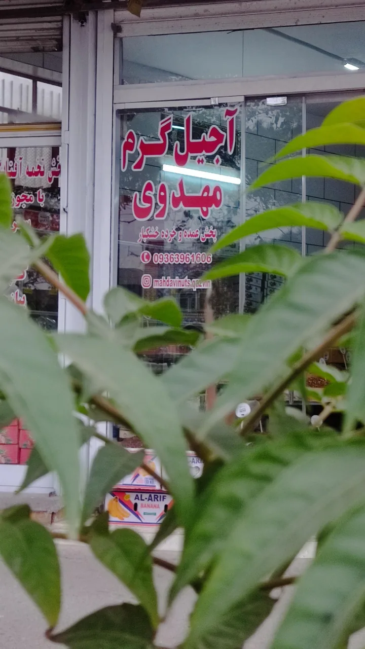 آجیل گرم مهدوی - تصویر 2