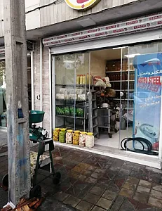 سبزی خردکنی دنیای سبز ریحانه