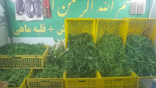 سبزی خردکنی ریحانه تک