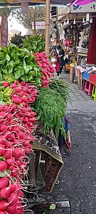ایستگاه سبزی محمدی