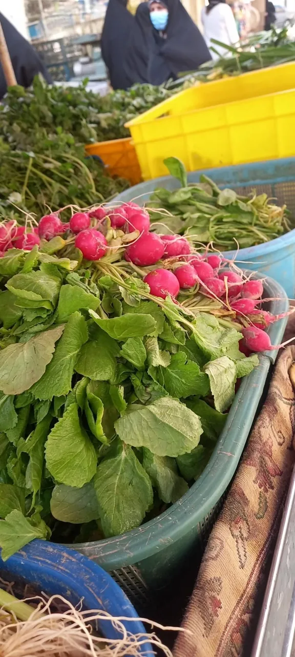 ایستگاه سبزی محمدی - تصویر 2