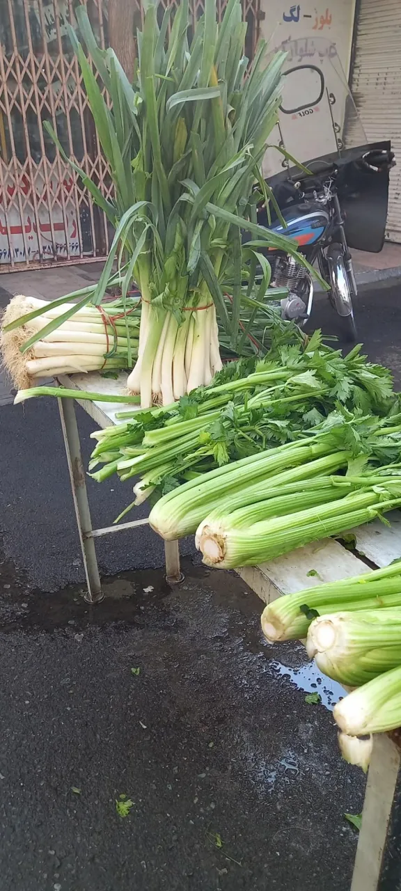ایستگاه سبزی محمدی - تصویر 3