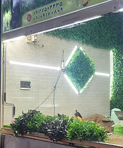 سبزی فروشی سبزکده