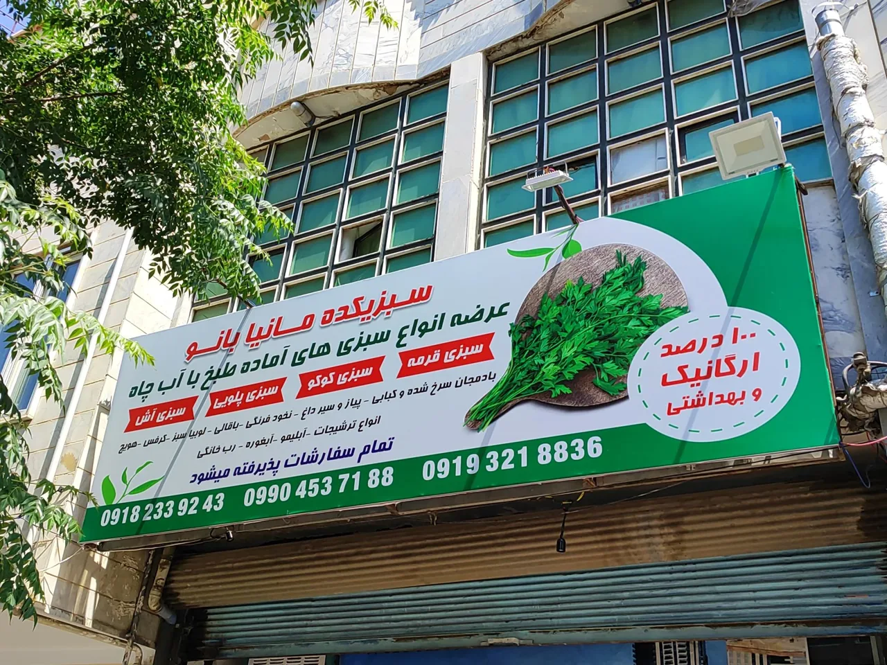 سبزی خردکنی مانیا بانو - تصویر 3