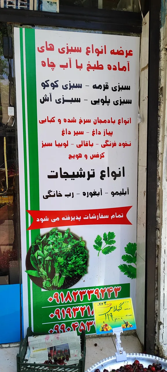 سبزی خردکنی مانیا بانو - تصویر 5