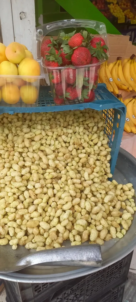 سوپر میوه چهار فصل - تصویر 4