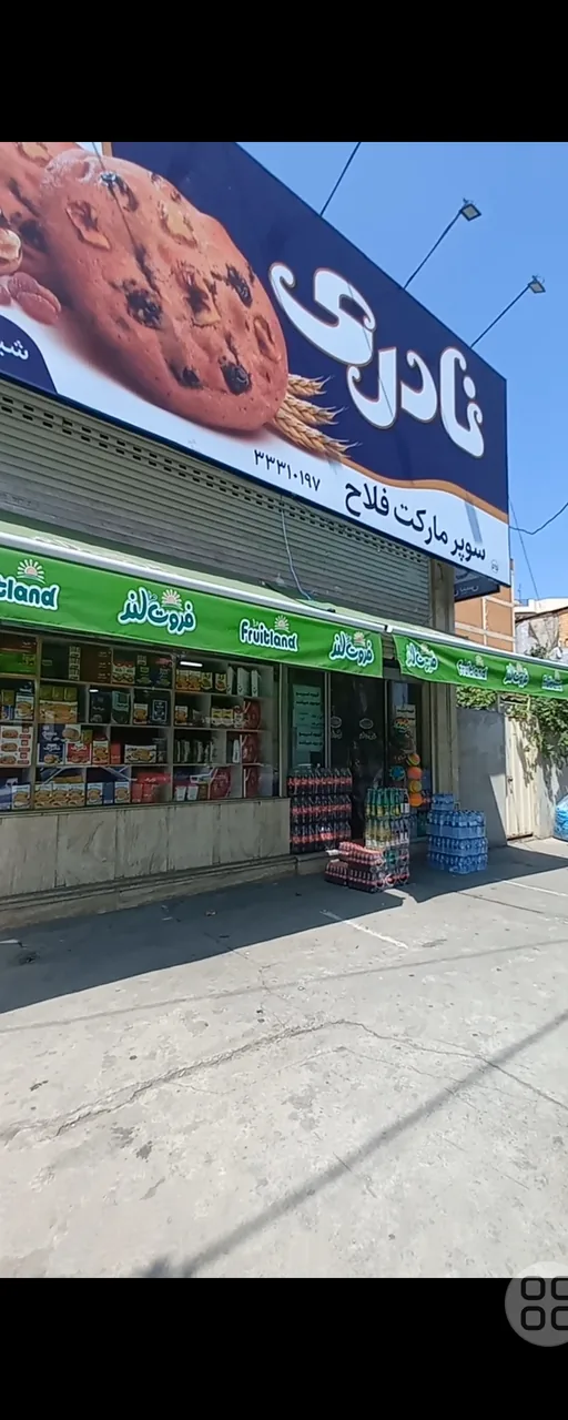فروشگاه مواد غذایی فلاح