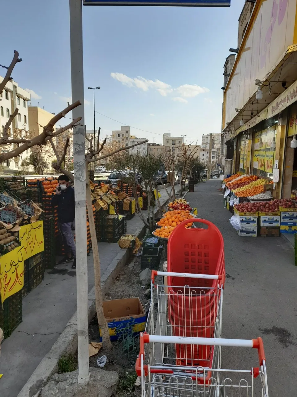 میوه فروشی هاکان - تصویر 4