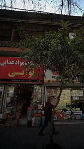 فروشگاه مواد غذایی نوایی