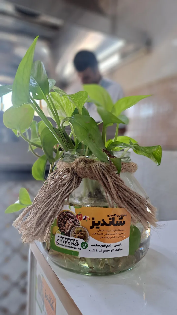 طباخی شاندیز - تصویر 2