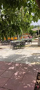 کافه رستوران ارغوان