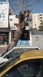 گشت سوما