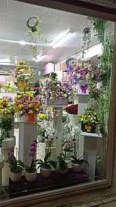 گلفروشی بی بی گل