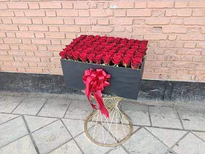 گلسرای ژینا