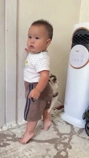 قنادی رضوان