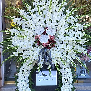 گل اطلسی