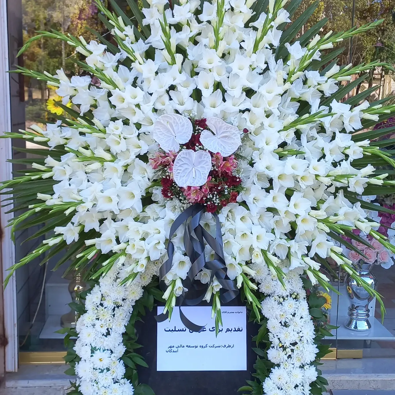 گل اطلسی