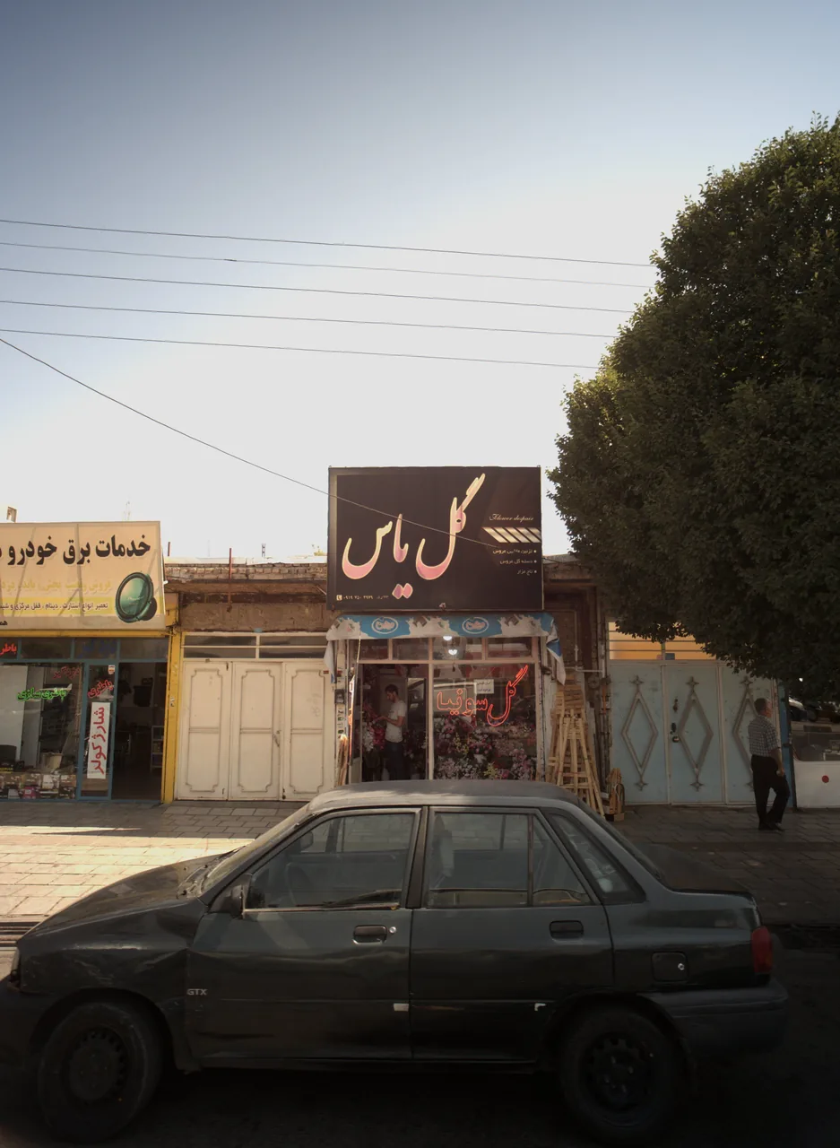گل یاس