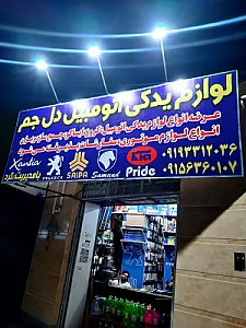 لوازم یدکی دل جم