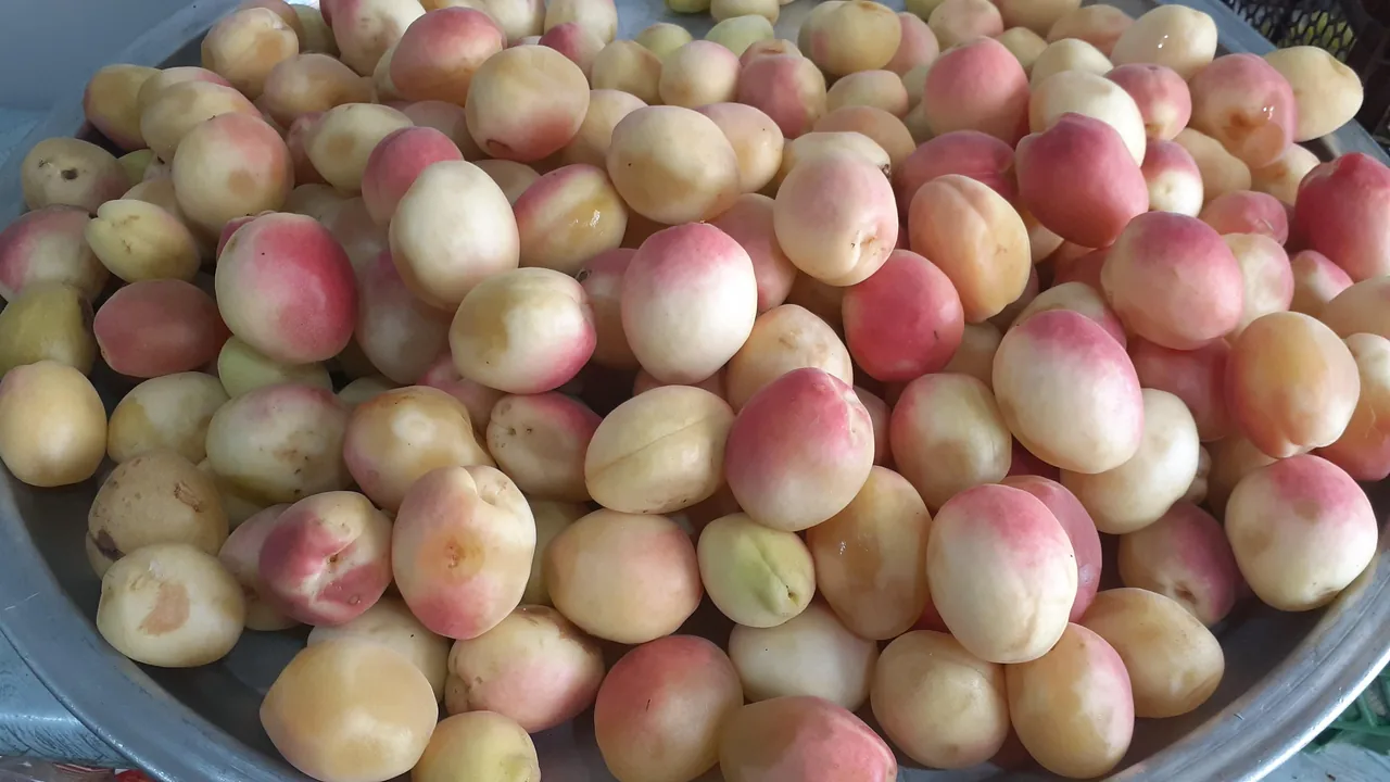 میوه فروشی نصیری - تصویر 4