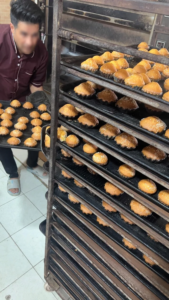 نان فانتزی حسام - تصویر 2