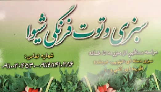 سبزی و توت فرنگی شیوا
